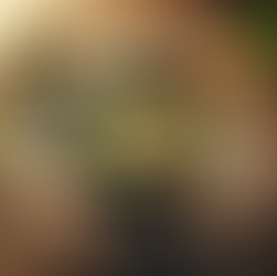 Frische Miso-Suppe in einer Shiatsu-Praxis in Wien – nährende, warme Mahlzeit mit TCM-Einflüssen für Wohlbefinden und Balance.