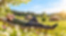 Daoistisches Detox-Wochenende in Pinggau mit Andrew Couse