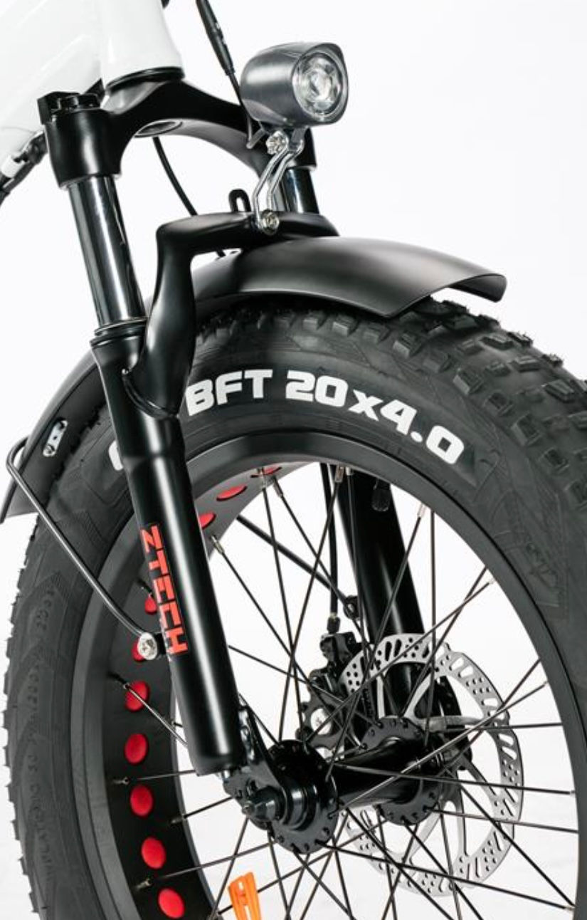 Miniatura: E-Bike ZT-89E