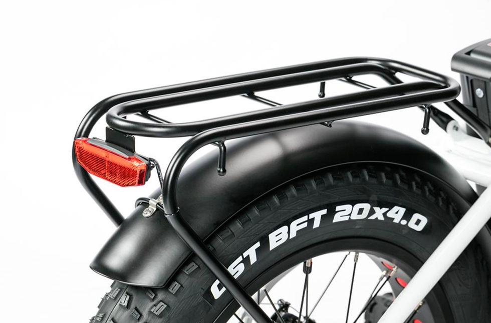Miniatura: E-Bike ZT-89E