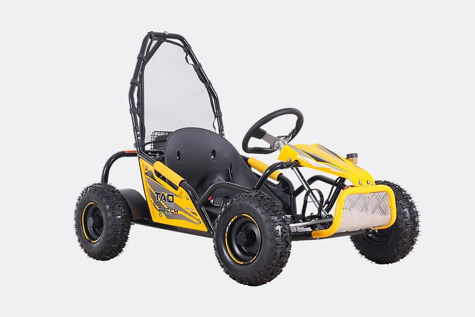 Miniatura: Buggy GK100