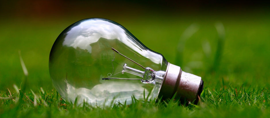 ¿Navegadores de internet ecológicos?