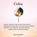ojoIngrédient naturel à base de colza, utilisé dans les soins Sun Cosmetic pour nourrir la peau.