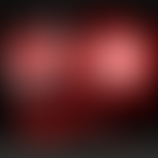 도리짓고땡 게임방법