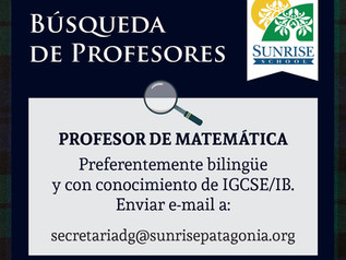 Buscamos Profesores para incorporar a nuestro staff