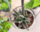 20250315_134138 (edited 810 web ready).jpg