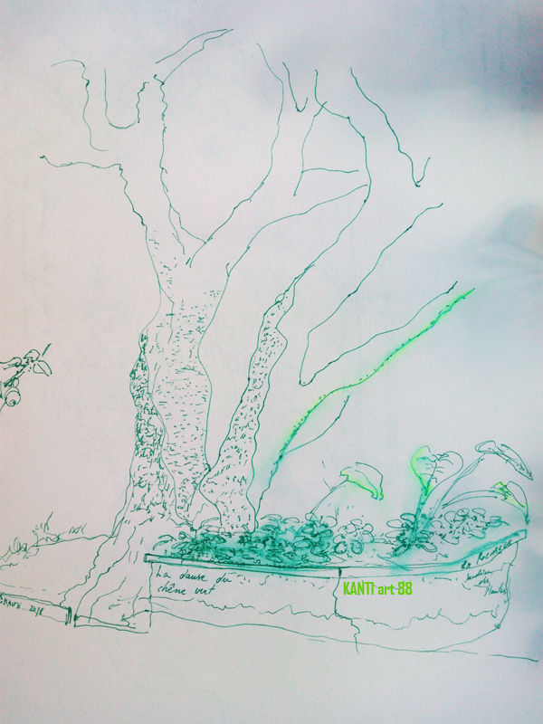 Trees_La_Rochelle (2)