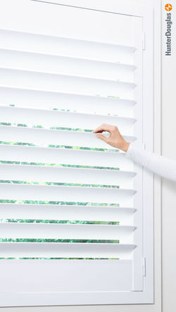 Liesl Ehardt - Hunter Douglas Hand Model Ad