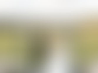 Wedding couple under rose arch