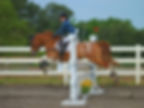 Ocala Horse Trials