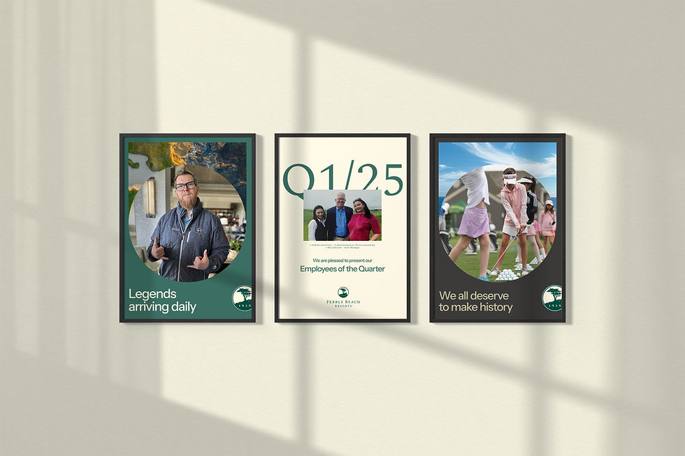 PB_InSitu_Triptych_Posters_05.jpg