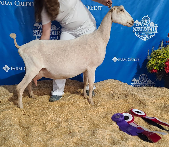 CH Goat-San Khrazy Train EEEV90