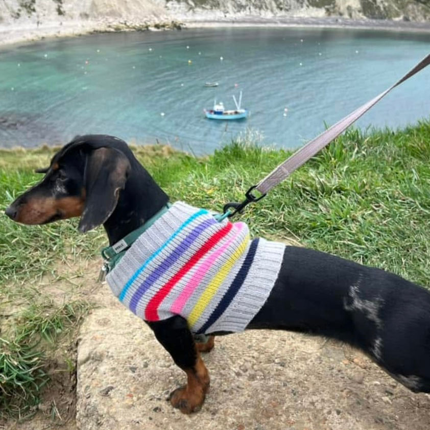 Thumbnail: Sotnos Super Stripe Sweater