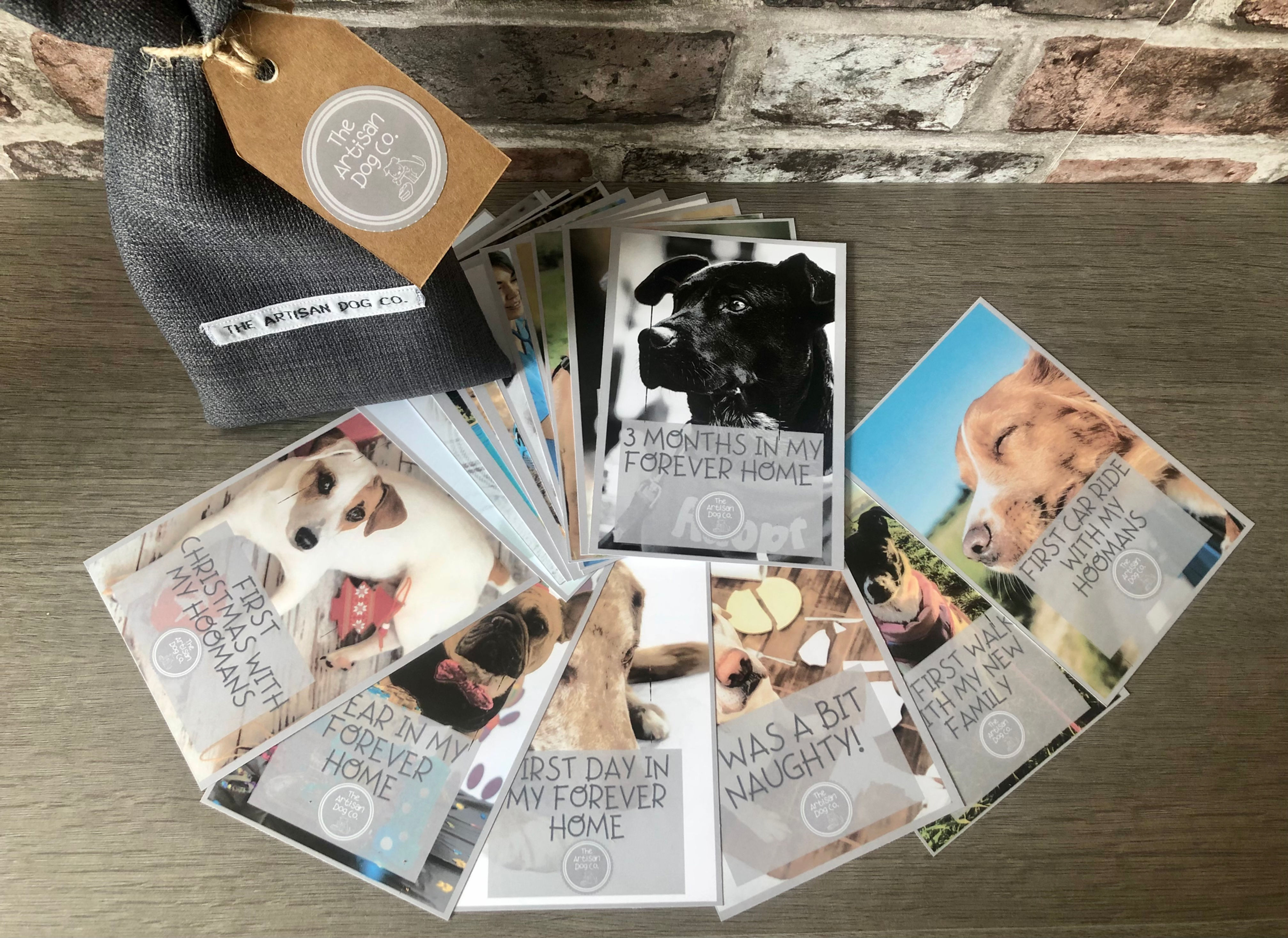 Dog Milestone Cards