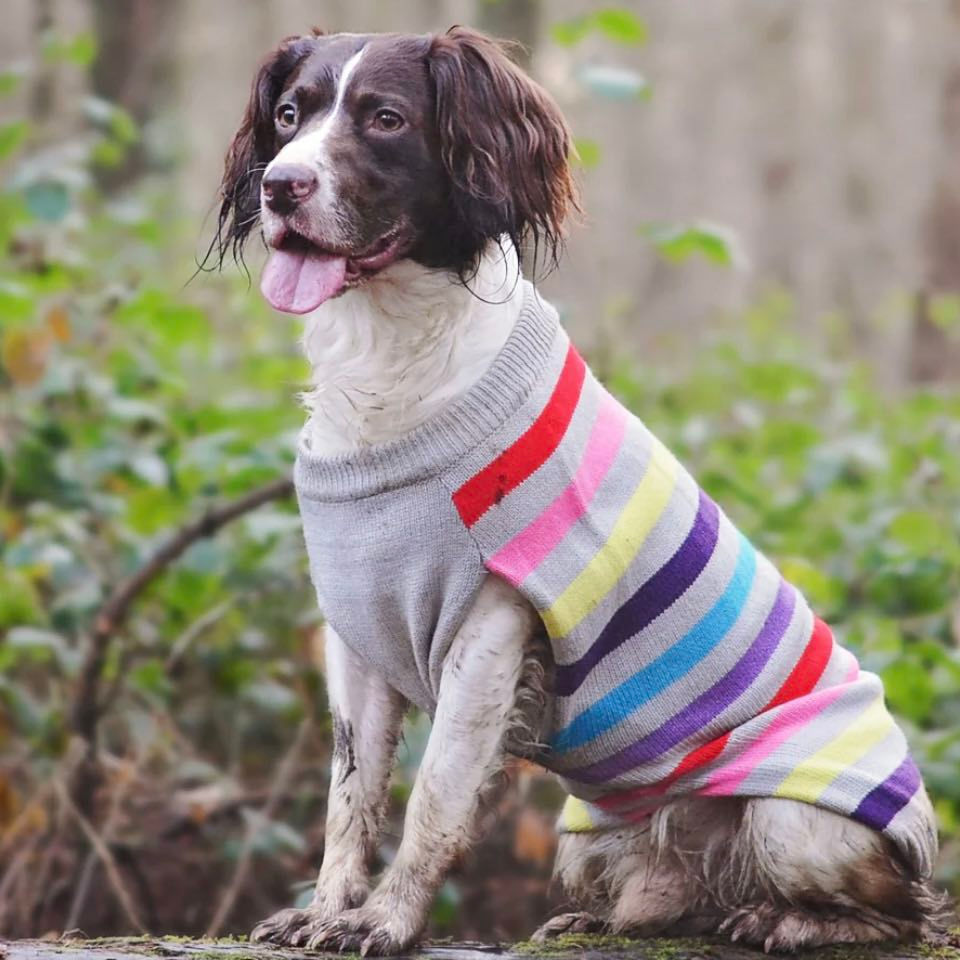 Thumbnail: Sotnos Super Stripe Sweater