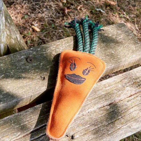 Thumbnail: Green & Wild's Candice the Carrot