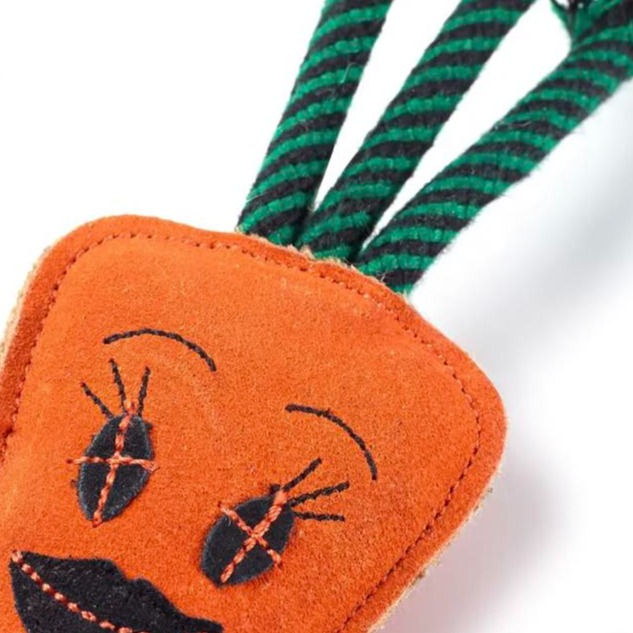 Thumbnail: Green & Wild's Candice the Carrot