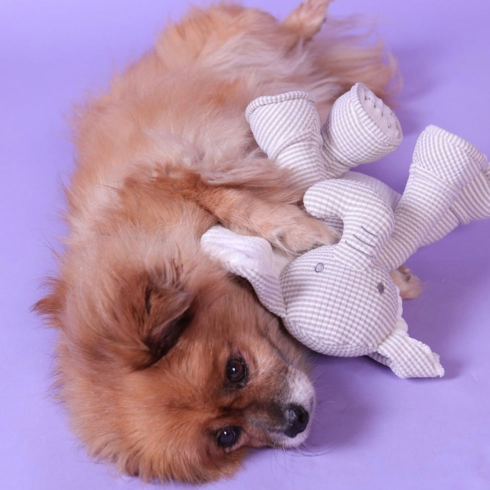 Thumbnail: My PlayTime Elephant