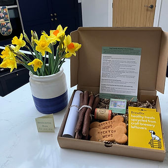 welcome box 4.jpg
