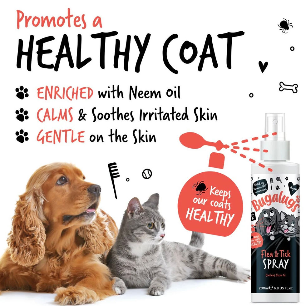 Thumbnail: Flea & Tick Spray with Neem Oil for Dogs & Cats.