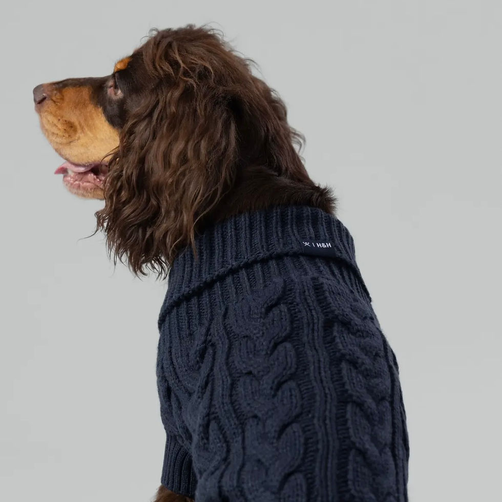 Thumbnail: Hugo & Hudson Cable Knit Pullover Dog Jumper - Navy