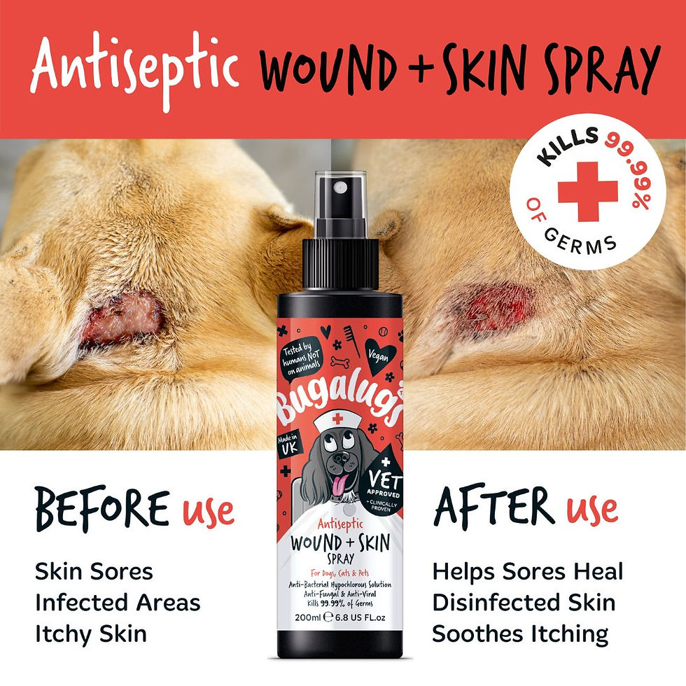 Thumbnail: Antiseptic Wound and Skin Spray