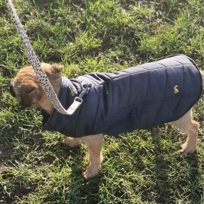 Thumbnail: Joules Cherington Coat in Small