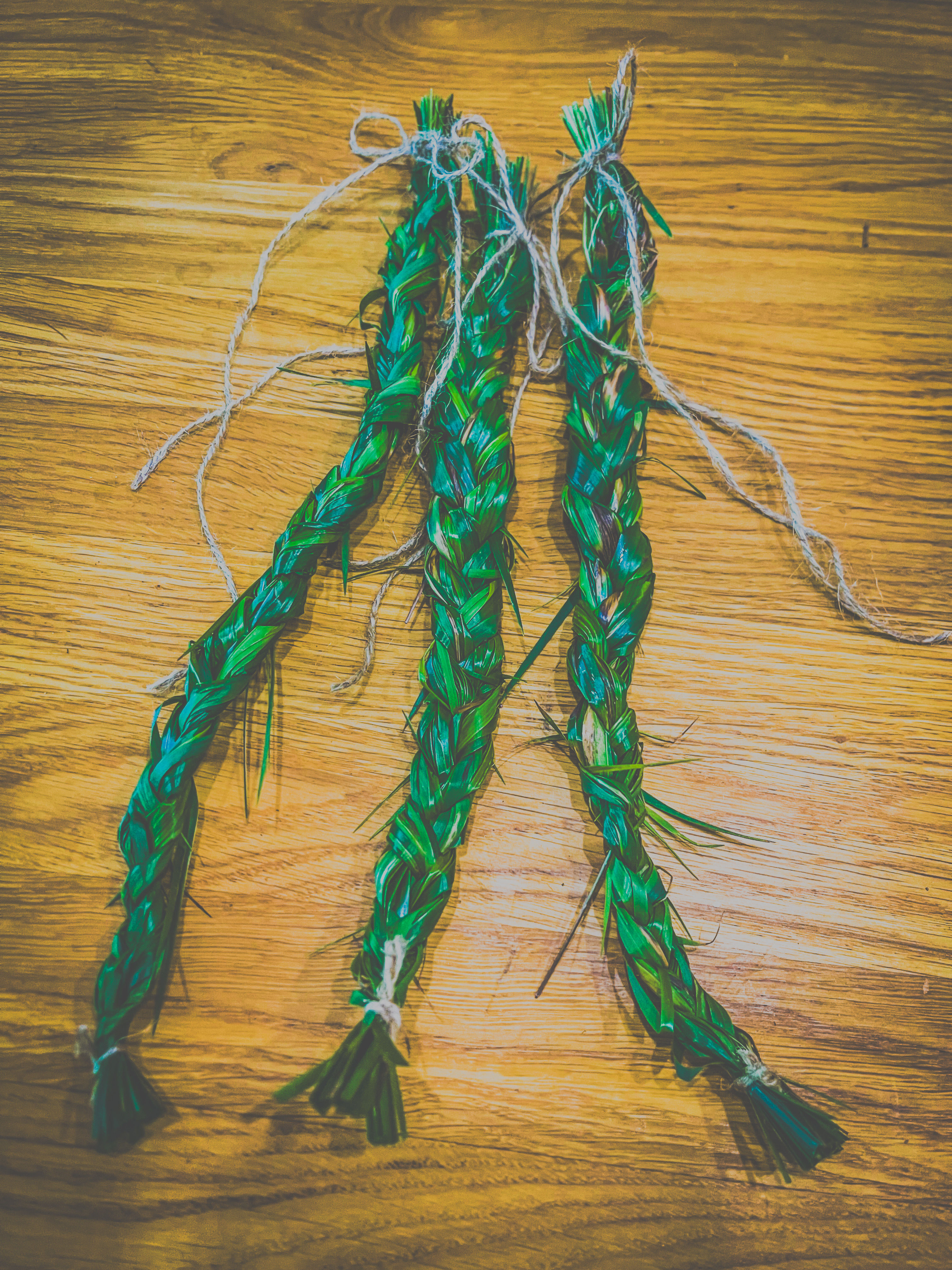 Geflochtenes Mariengras/Süßgras