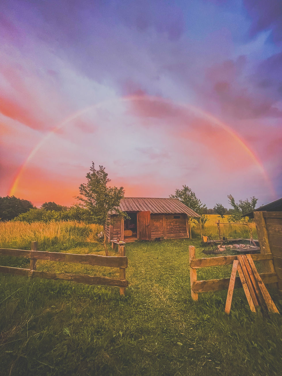 Miniaturbild: Räucherwerk Weidenröschen