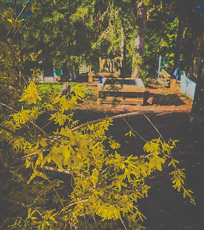 ACA0426A-B904-45CE-8DC1-50CB29A101DF.JPEG