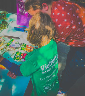 D0757F11-7BA8-4BCF-A2AB-054F5588DB2E.JPEG