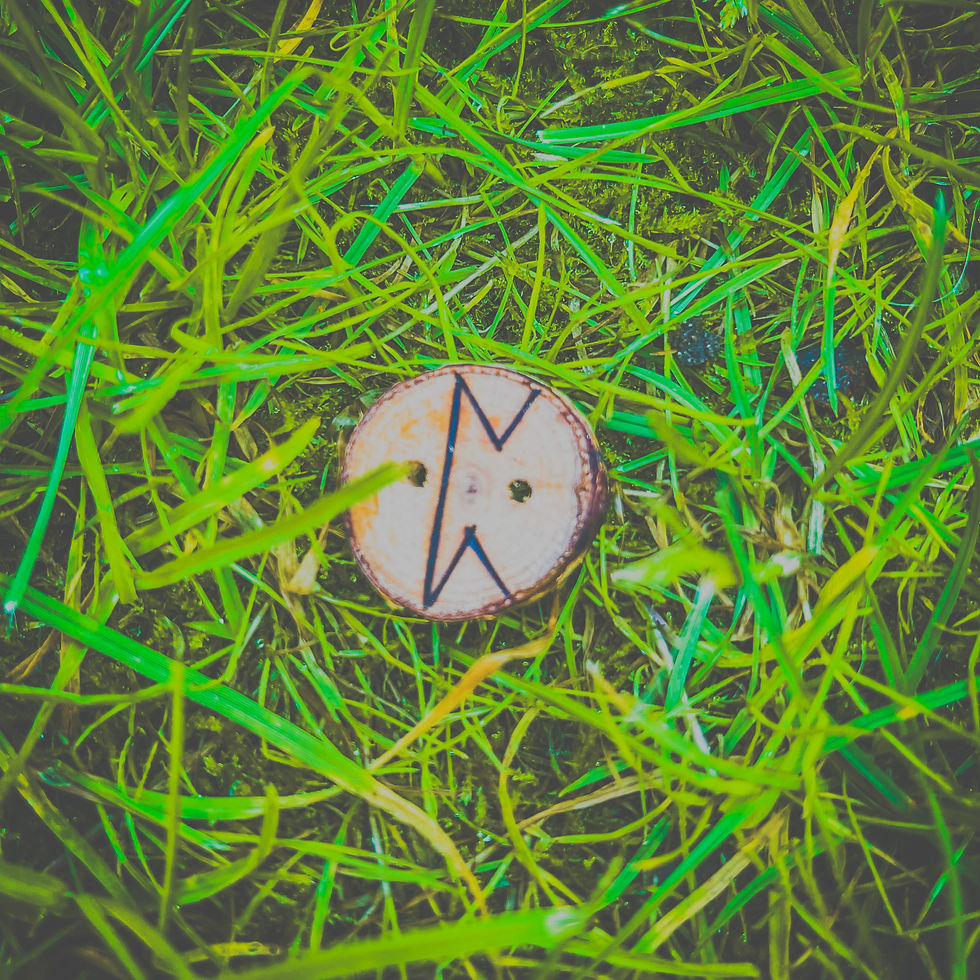 Miniaturbild: Holzknöpfe