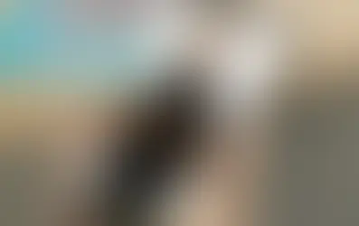 An interpreter appearing on a phone being held by someone's hand.