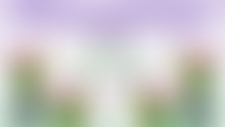 Gender Dissent's woman on the ground, Canadian female human, sends in this report from her second time attending caWsbar's annual conference, this time in Montreal.