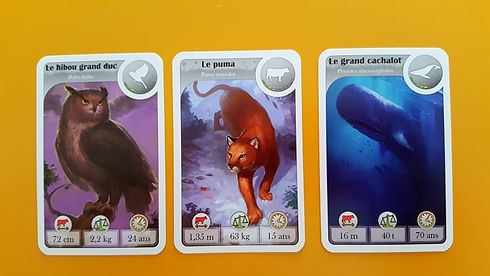 Cardline animaux 2.jpg