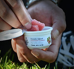 wyld-gummies-sale-floh-creative-cannabis-marketing.jpg