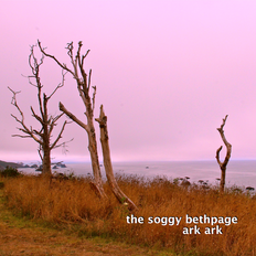 Get Soggy!