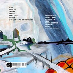 Shore Plover Tarmac LP