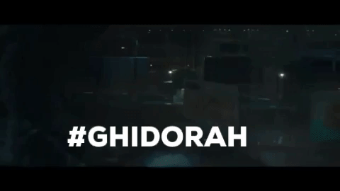giphy.gif.gif
