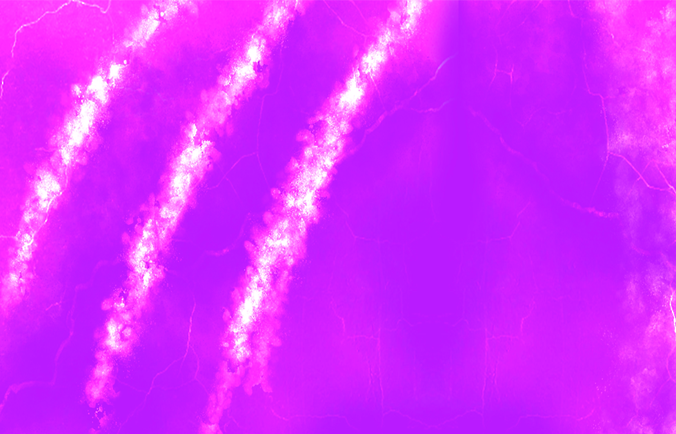 WebSite Background 01.png