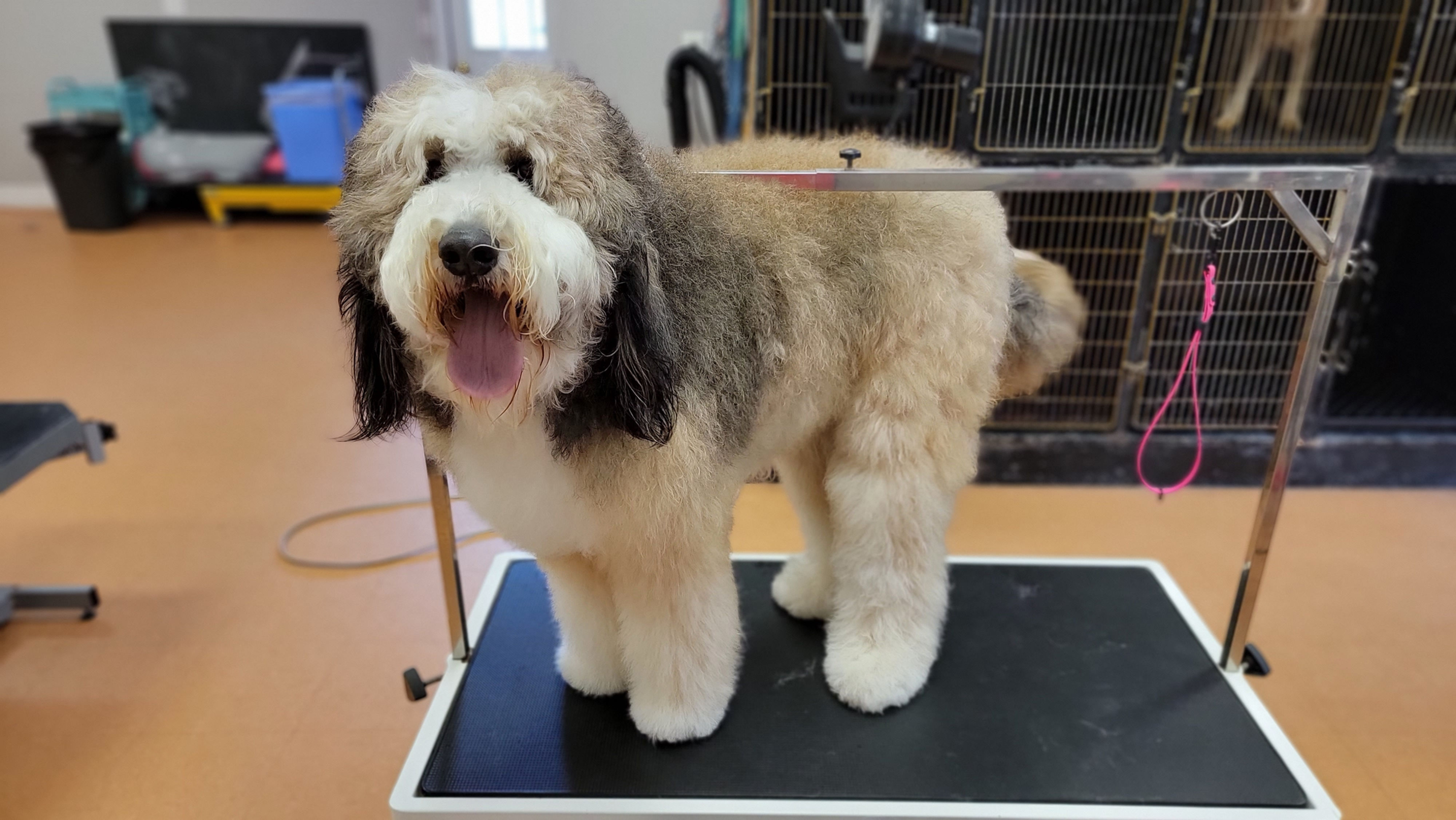 20220408_123634 (1).jpg