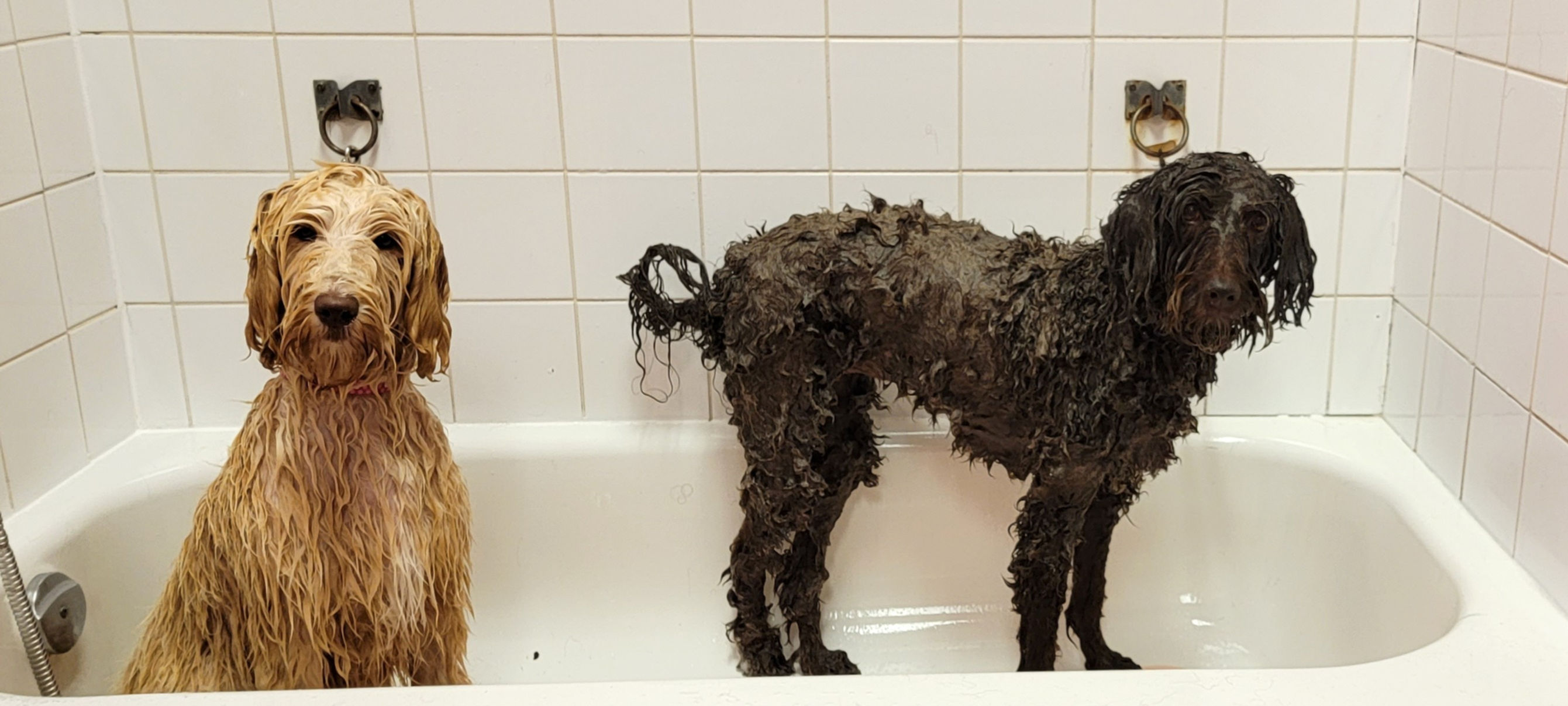 20221011_113751 (1)_edited_edited.jpg