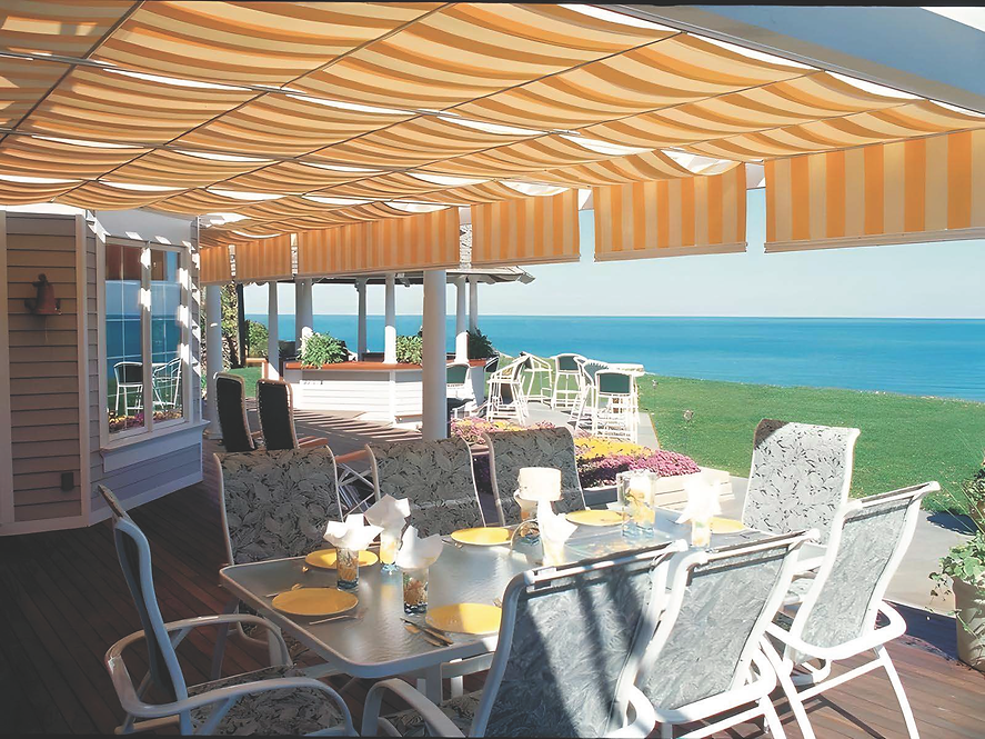 ShadeTree-fotor-20241030123457.png