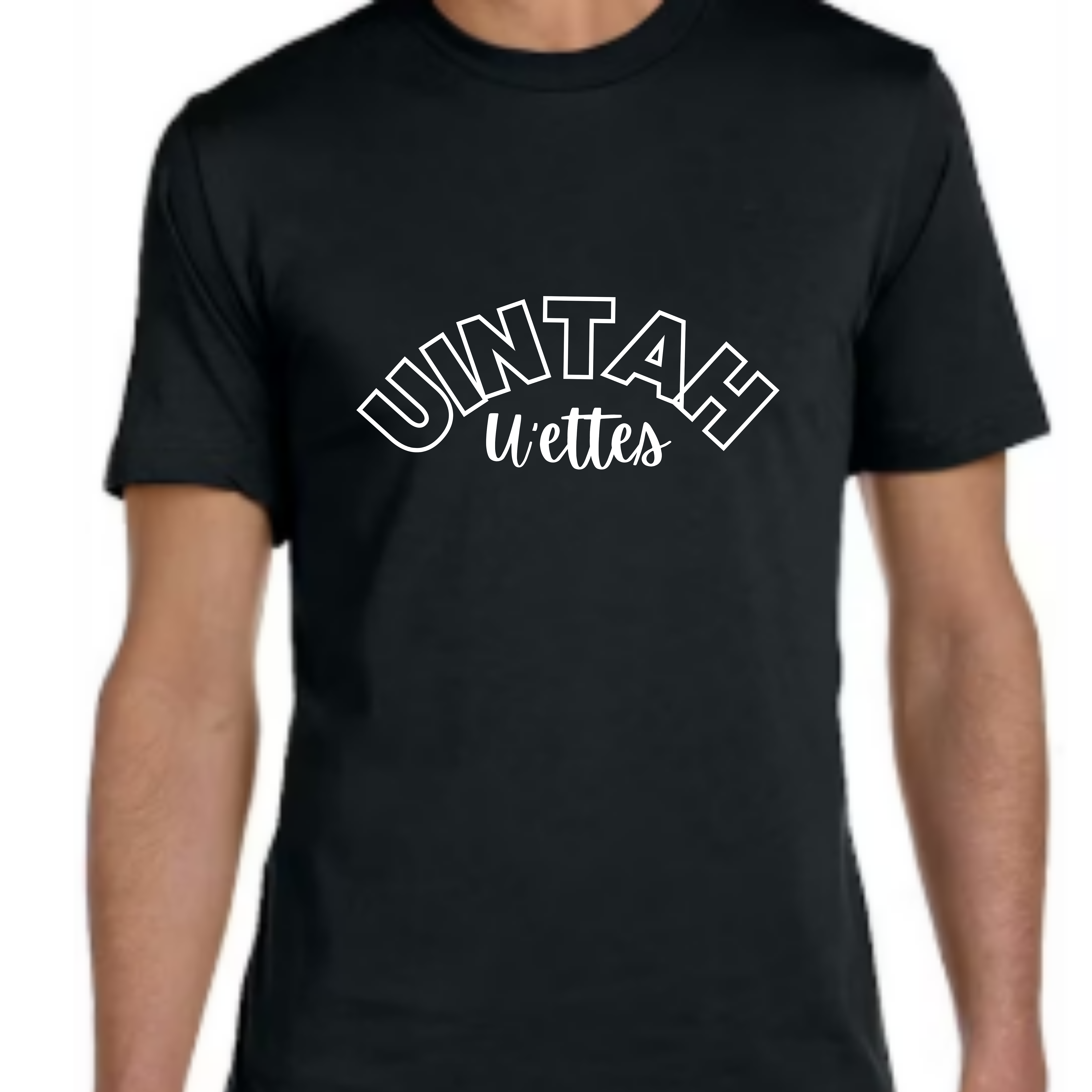 Uintah Arch Bella Canva Shirt