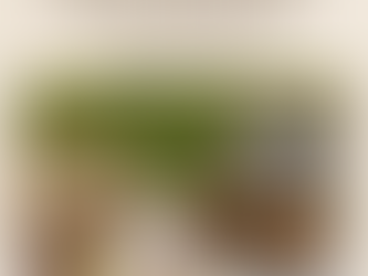 Chic Al Fresco: Elevate Your Family Picnics with Stylish Tips for Outdoor Dining