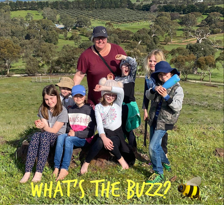 Nature-Based Social Sessions