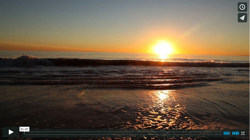 Video - Christmas Card