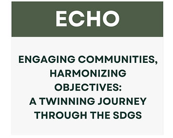 ECHO Infopack 2024_edited.jpg