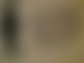 El Quito del "Taita Pendejadas"