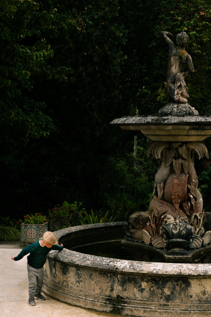 Nicole Vicher, "Um toque no passado"